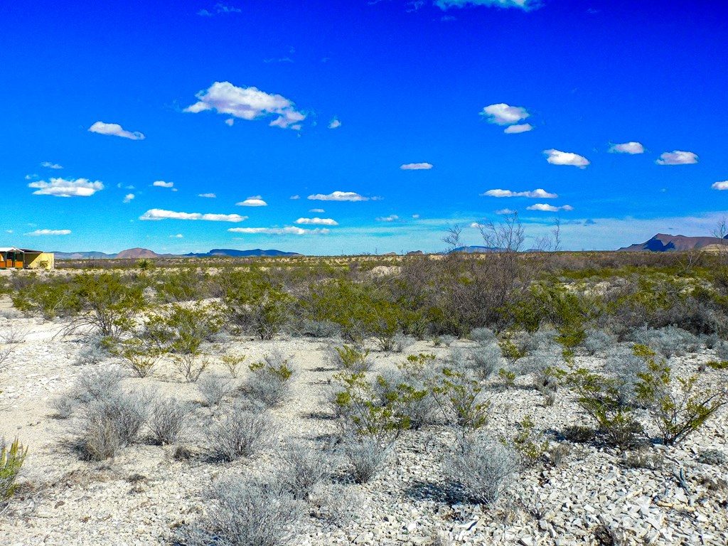 16949 Highlander Rd, Terlingua, Texas image 11