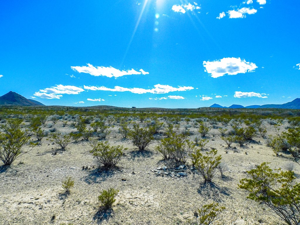 16949 Highlander Rd, Terlingua, Texas image 9