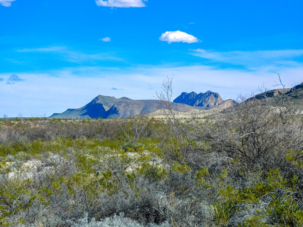 16949 Highlander Rd, Terlingua, Texas image 5