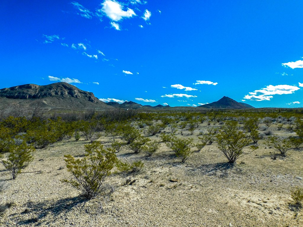 16949 Highlander Rd, Terlingua, Texas image 2