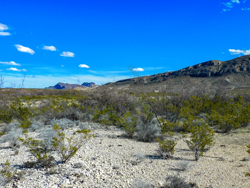 16949 Highlander Rd, Terlingua, Texas image 10