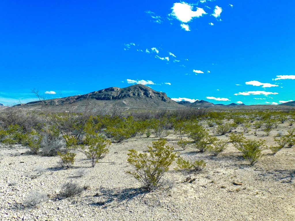 16949 Highlander Rd, Terlingua, Texas image 4