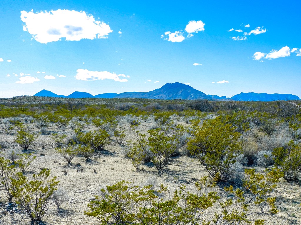 16949 Highlander Rd, Terlingua, Texas image 3