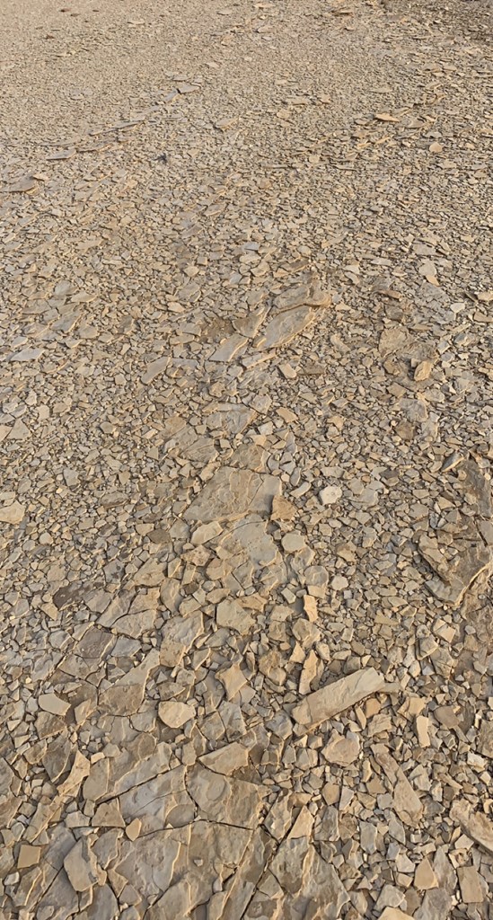 1701 La Luna Rd, Terlingua, Pennsylvania image 15