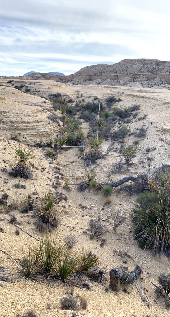 1701 La Luna Rd, Terlingua, Pennsylvania image 17