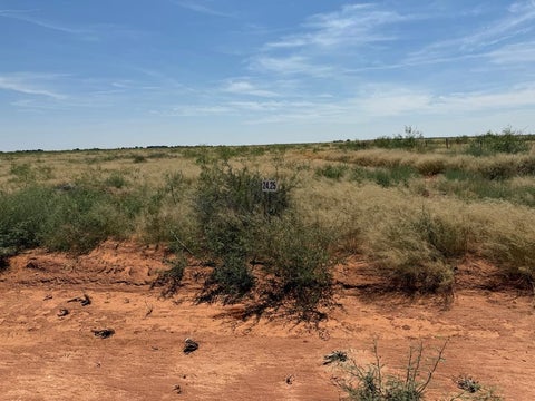 Vacant Land For Sale - 1150 SE 1620<br/> Andrews County, Andrews, TX 79714