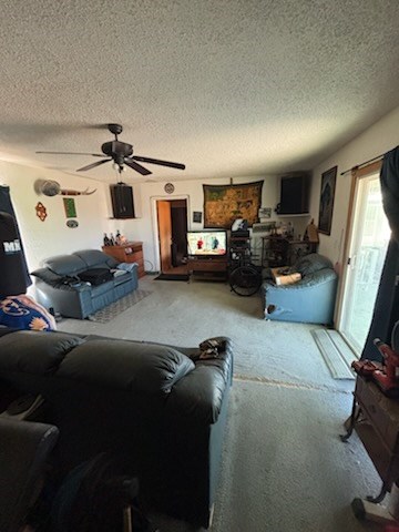 4130 N Water St, Fort Stockton, Texas image 10