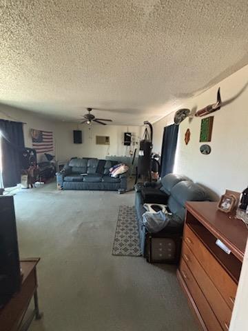 4130 N Water St, Fort Stockton, Texas image 11