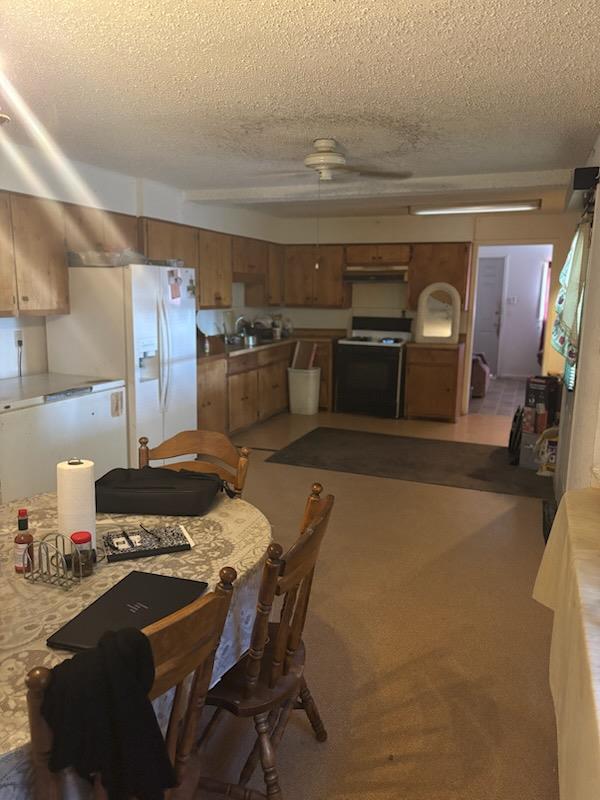 4130 N Water St, Fort Stockton, Texas image 4