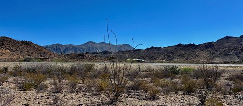 Vacant Land For Sale - 52990 S Hwy 118<br/> Terlingua, TX 79852