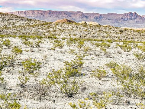 Vacant Land For Sale - 19795 Reimers Road<br/> Terlingua, TX 79852