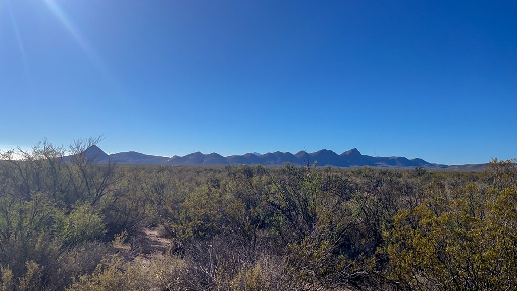 1300 Shipman Road, Terlingua, Pennsylvania image 8
