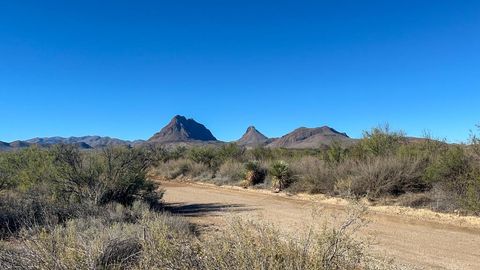 Vacant Land For Sale - 1300 Shipman Road<br/> Terlingua, TX 79852