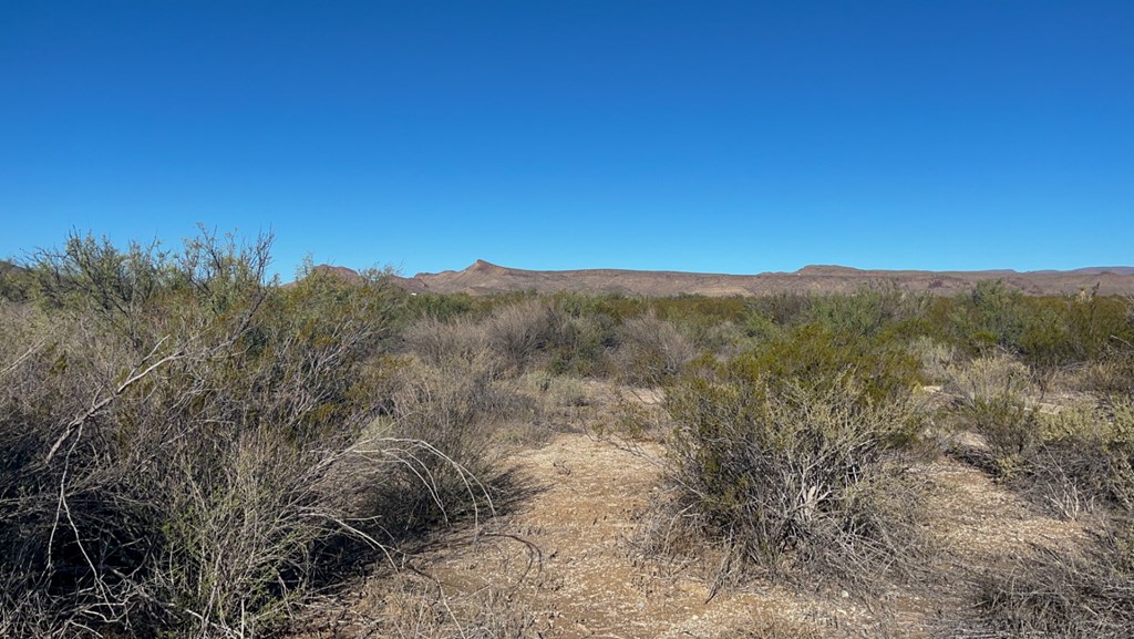 1300 Shipman Road, Terlingua, Pennsylvania image 10