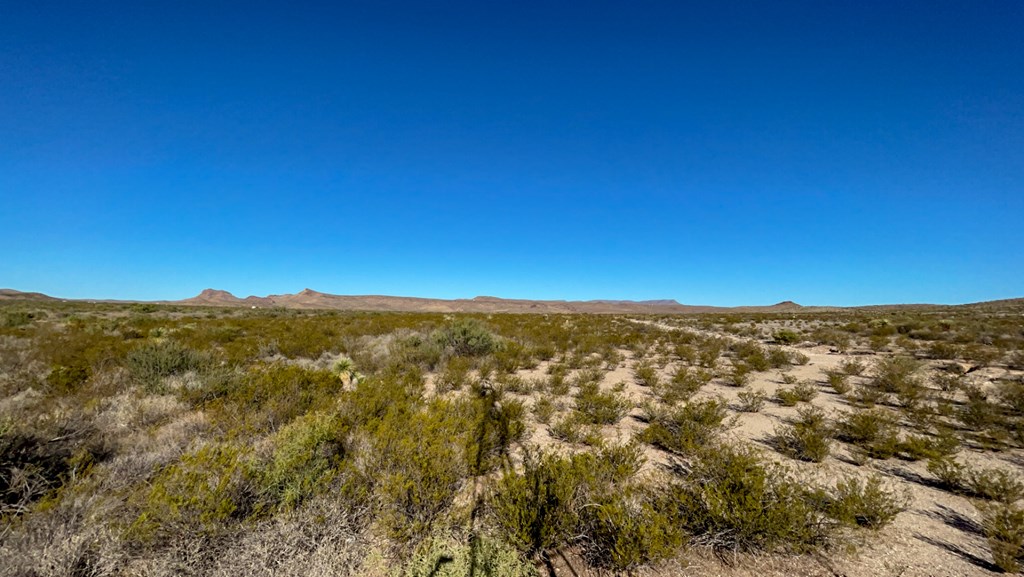 1300 Shipman Road, Terlingua, Pennsylvania image 15