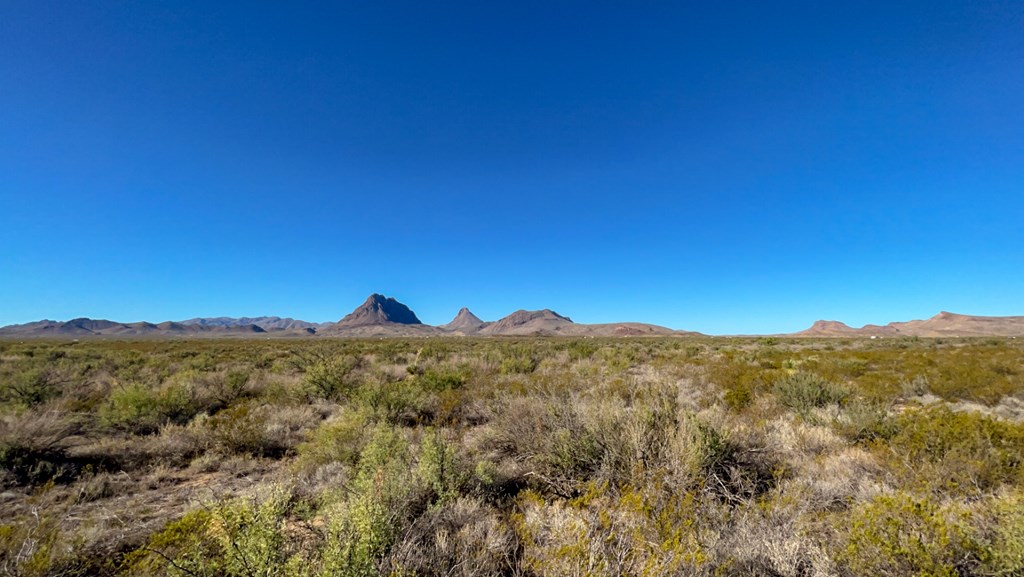 1300 Shipman Road, Terlingua, Pennsylvania image 16