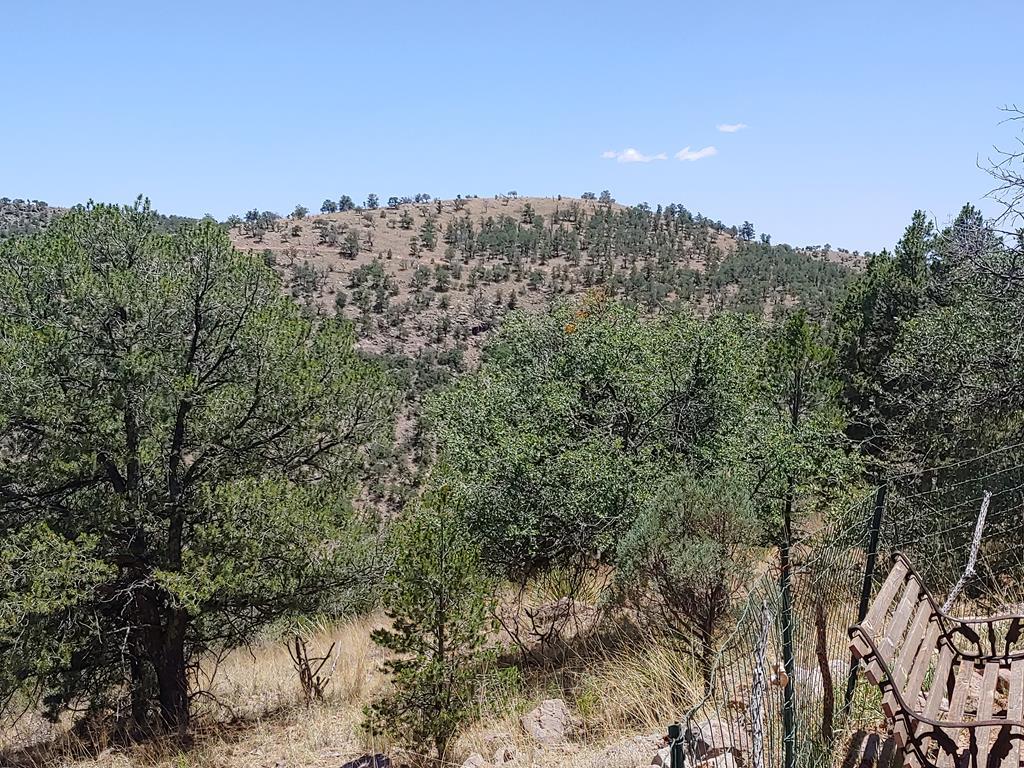 115 Apache Mountain Trail, Fort Davis, North Carolina image 50