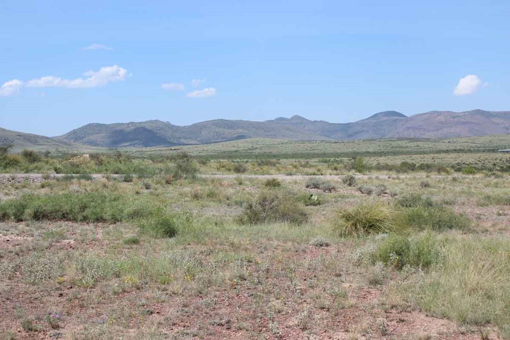 Tract 4 Sierra La Rana Rd, Alpine, Texas image 7