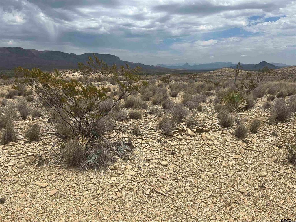 130 N Blue Dawg Rd, Terlingua, Texas image 5
