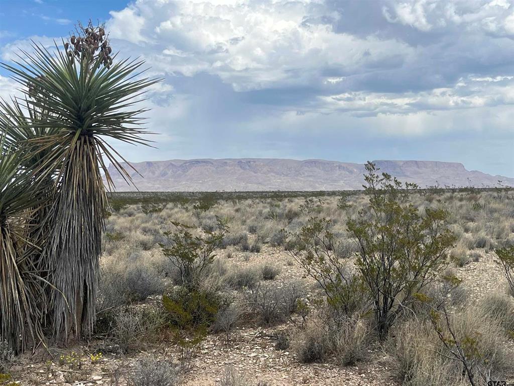 130 N Blue Dawg Rd, Terlingua, Texas image 1