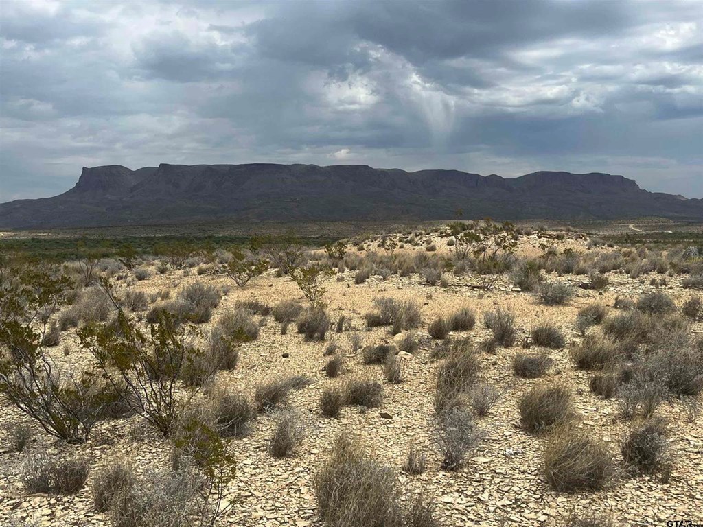 130 N Blue Dawg Rd, Terlingua, Texas image 3