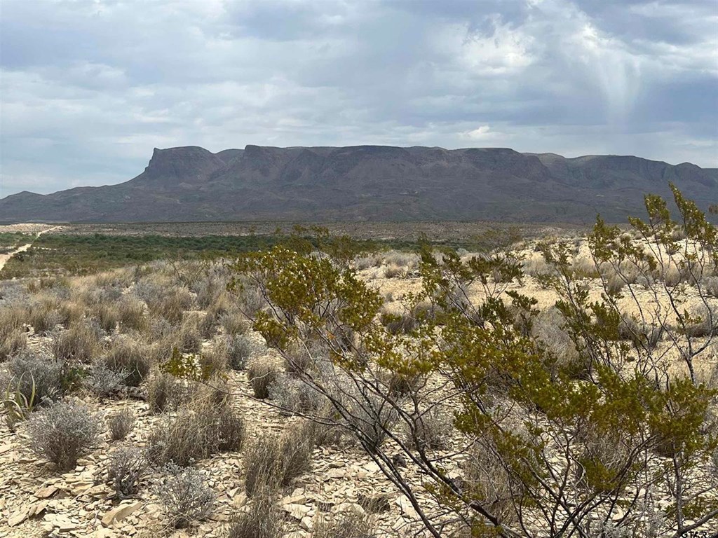 130 N Blue Dawg Rd, Terlingua, Texas image 7