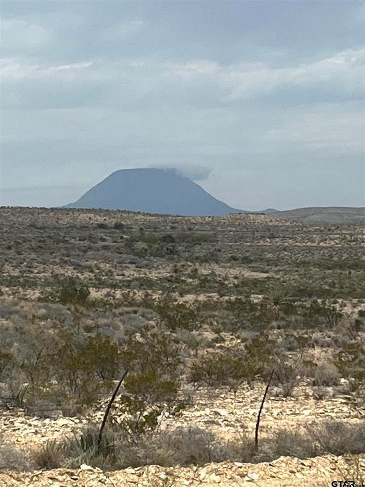 130 N Blue Dawg Rd, Terlingua, Texas image 8