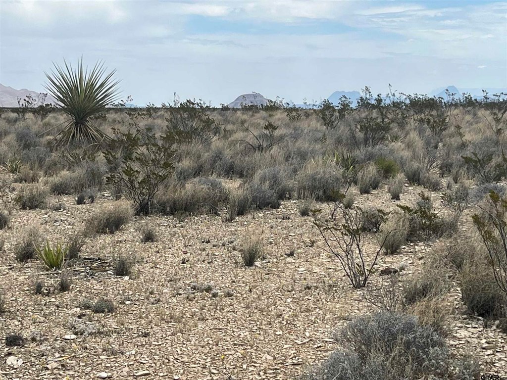 130 N Blue Dawg Rd, Terlingua, Texas image 4