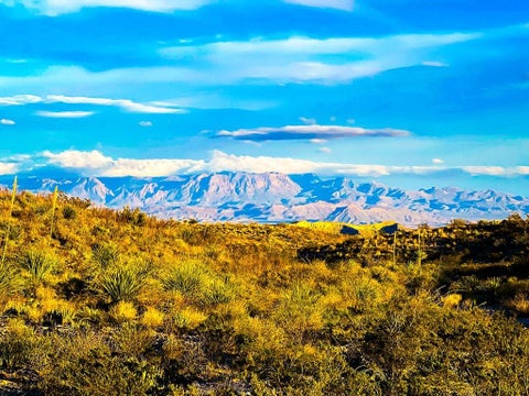 Vacant Land For Sale - 34952 Mariposa Dr<br/> Brewster County, Terlingua, TX 79852