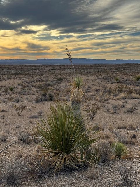 Vacant Land For Sale - 4838 Private Rd<br/> Brewster County, Terlingua, TX 79852