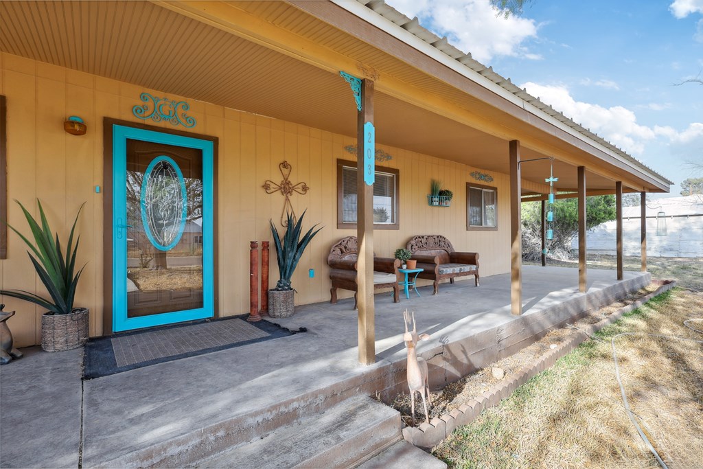 203 NE 8th St, Marathon, Texas image 4