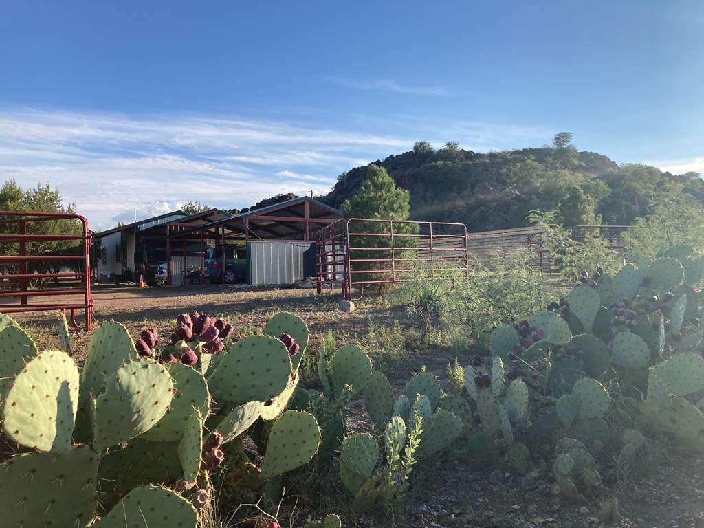 819 Webster Ave, Fort Davis, Texas image 45
