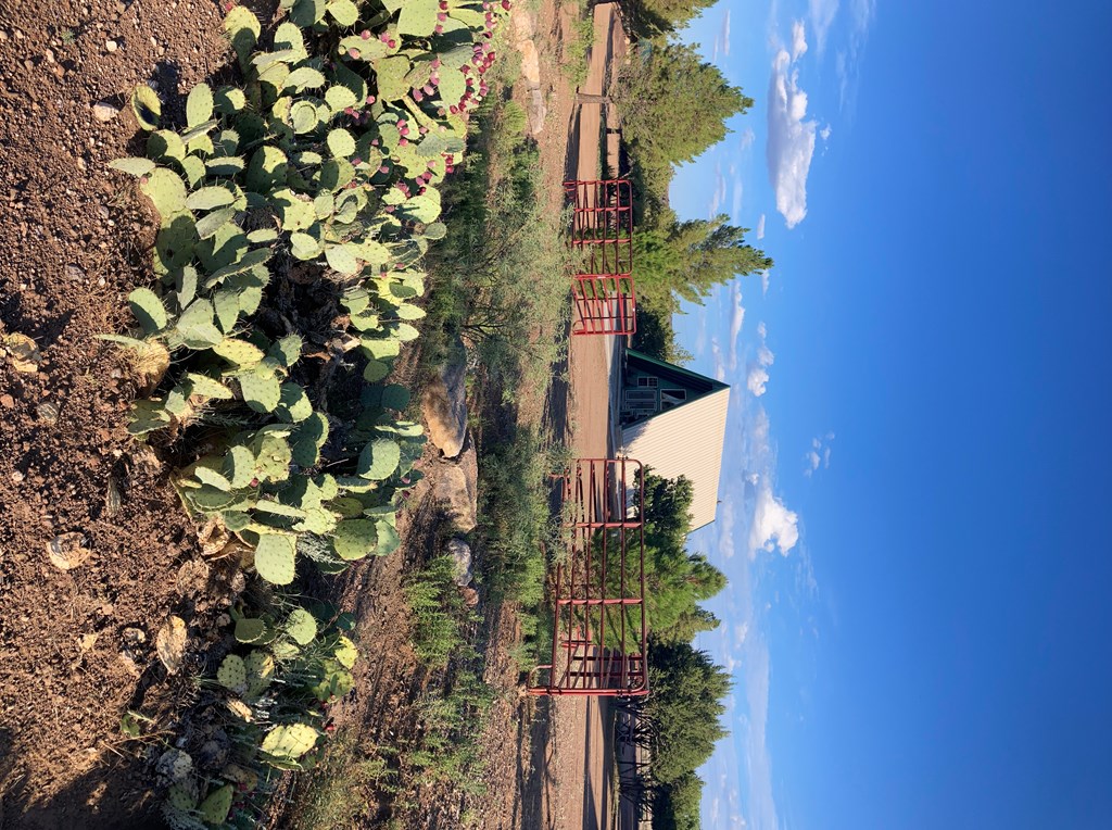 819 Webster Ave, Fort Davis, Texas image 35