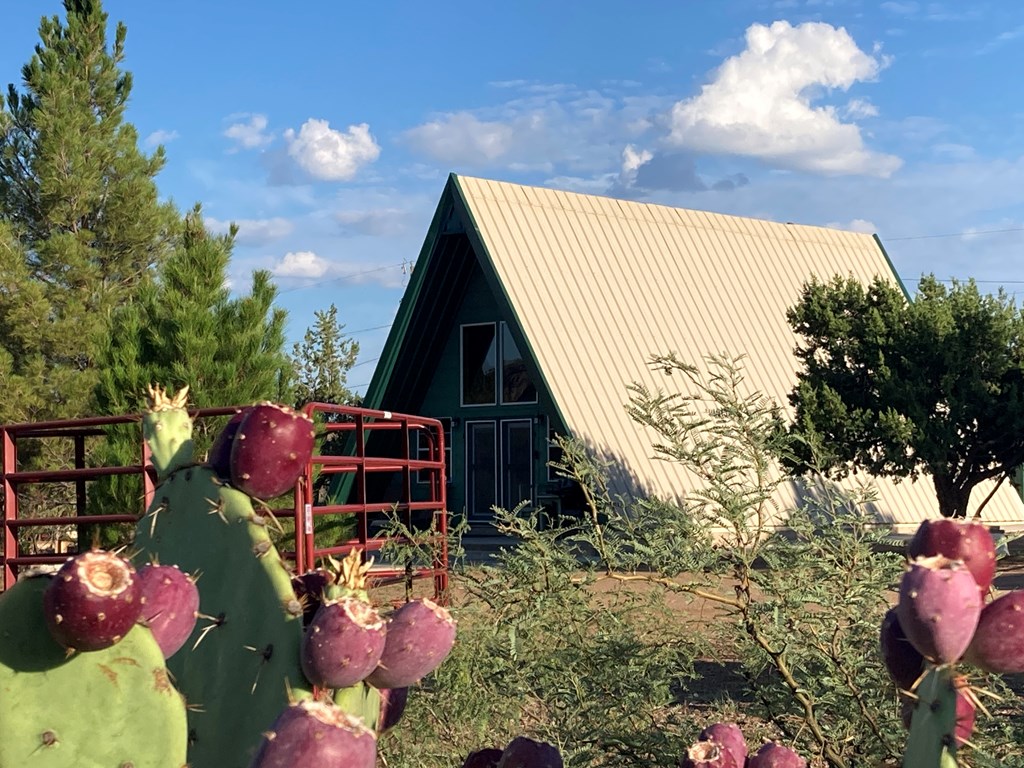 819 Webster Ave, Fort Davis, Texas image 36