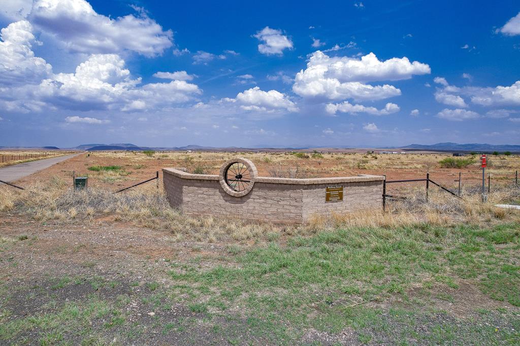 Tr 46 Hwy 118, Alpine, Texas image 4