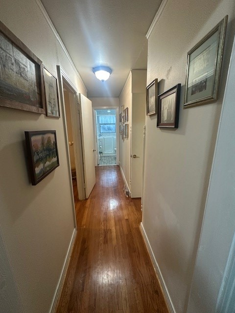 407 N Phelps Street, Alpine, Pennsylvania image 22