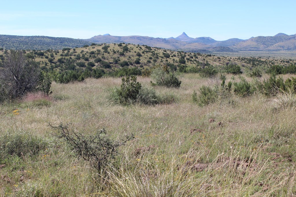 TR 57R Sierra La Rana, Alpine, Texas image 8