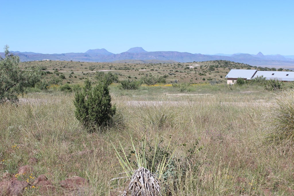 TR 57R Sierra La Rana, Alpine, Texas image 7