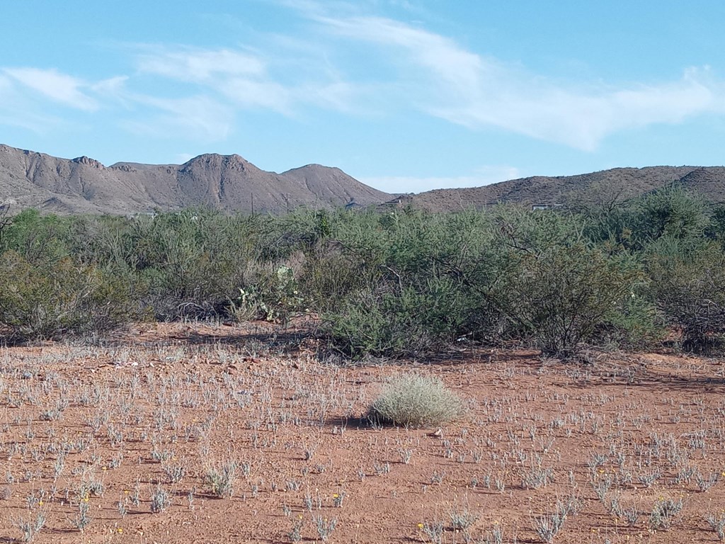 TBD Little Yisrael Lane, Terlingua, Texas image 3