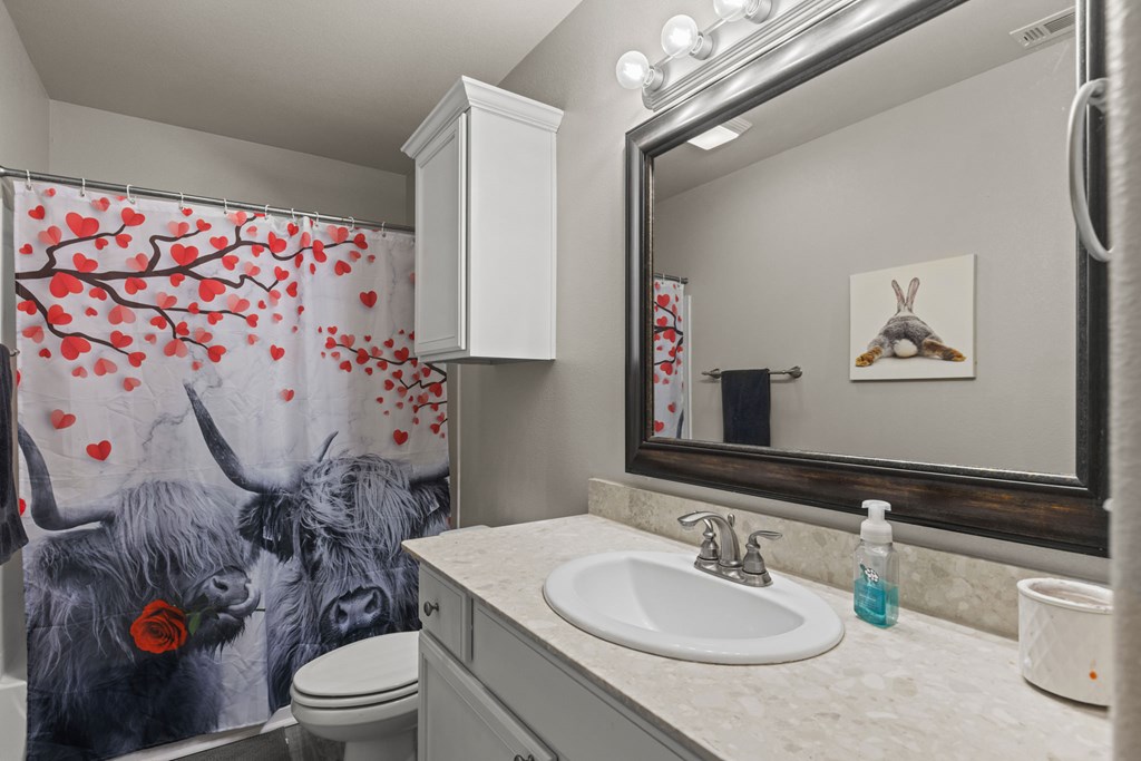 403 Mile High Ln, Midland, Texas image 12