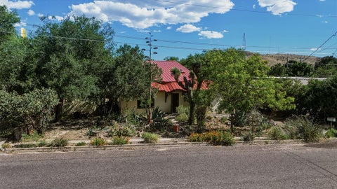 Homes For Sale - 906 E Sul Ross Ave<br/> Alpine, TX 79830