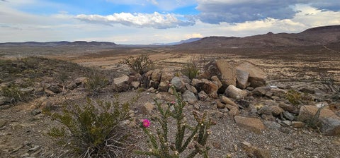 Vacant Land For Sale - 9108 Rocking L Ranch Rd<br/> Terlingua, TX 79852