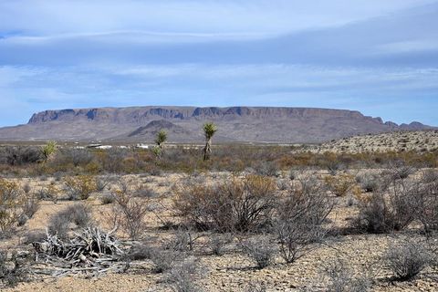 Vacant Land For Sale - 4893 Star Gazer Rd<br/> Brewster County, Terlingua, TX 79852