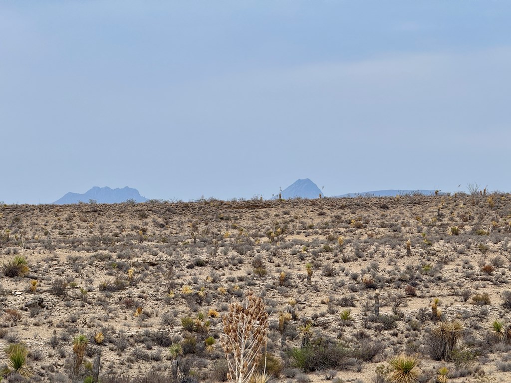 4029 Fort Clark Dr, Terlingua, Louisiana image 21
