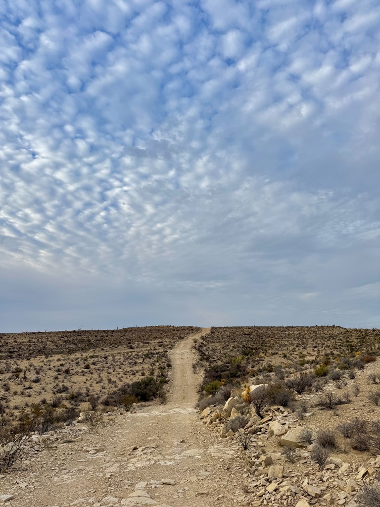 4029 Fort Clark Dr, Terlingua, Louisiana image 12
