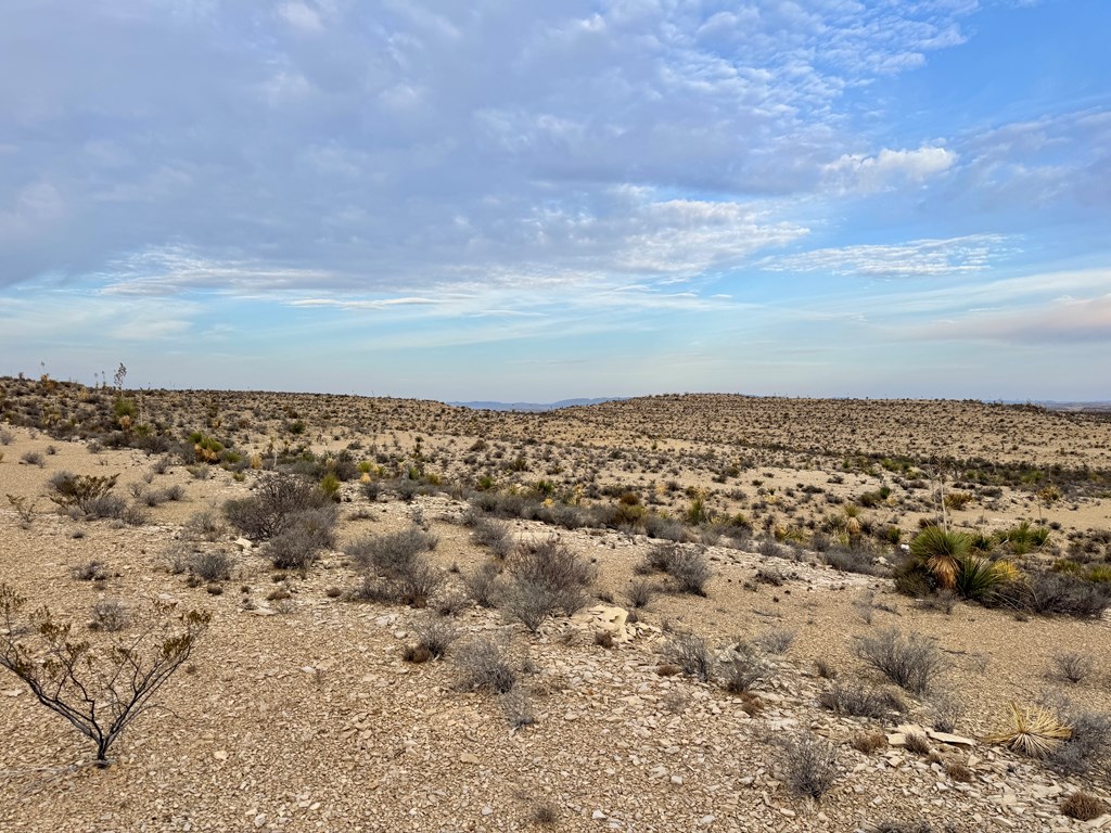 4029 Fort Clark Dr, Terlingua, Louisiana image 16