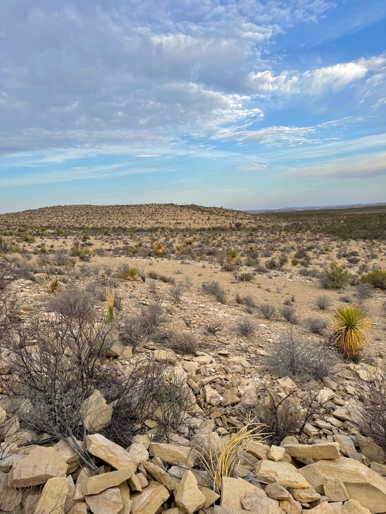 4029 Fort Clark Dr, Terlingua, Louisiana image 11