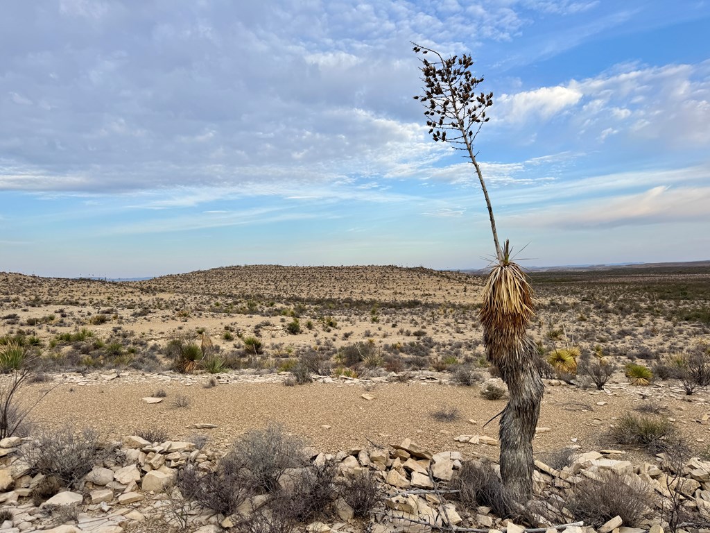 4029 Fort Clark Dr, Terlingua, Louisiana image 6