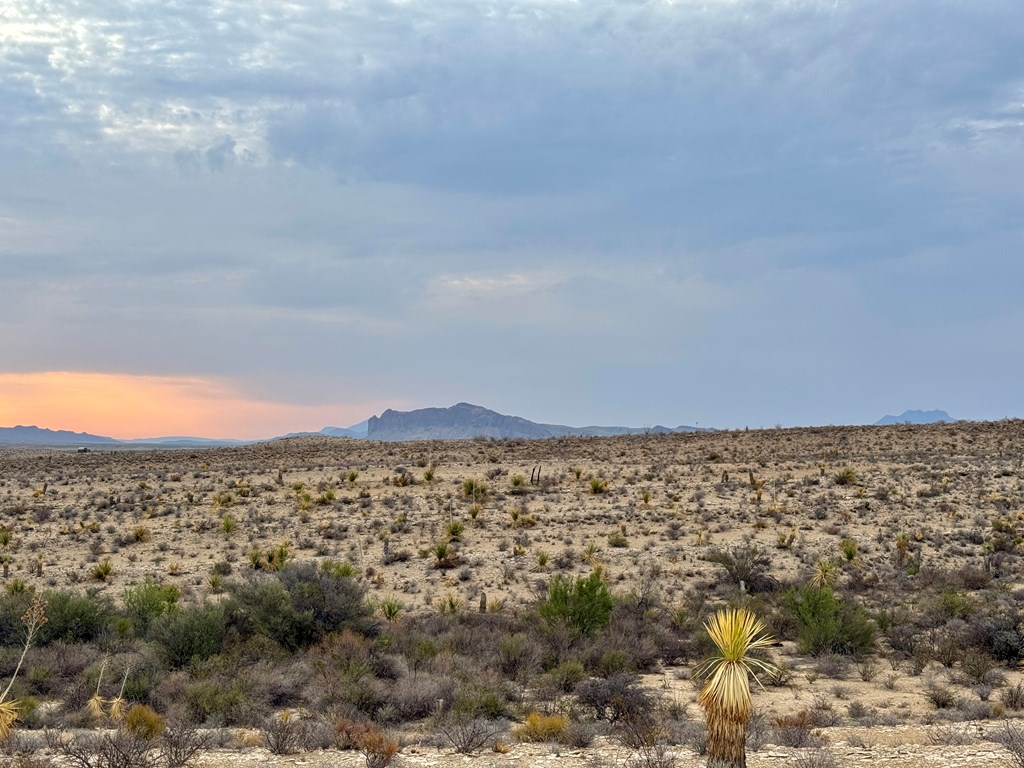 4029 Fort Clark Dr, Terlingua, Louisiana image 5