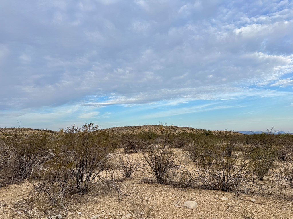 4029 Fort Clark Dr, Terlingua, Louisiana image 8